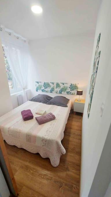 Appartements Cosy Belfort Eksteriør billede